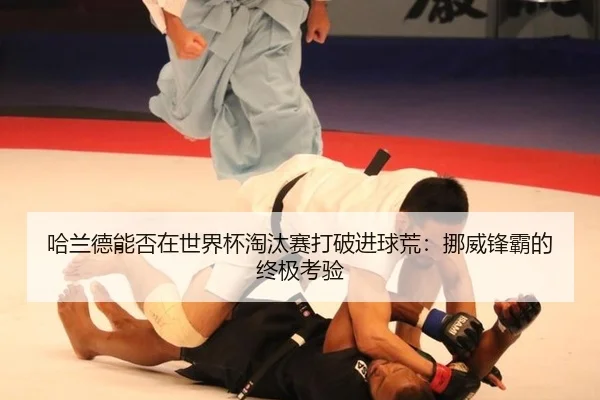 哈兰德能否在世界杯淘汰赛打破进球荒：挪威锋霸的终极考验